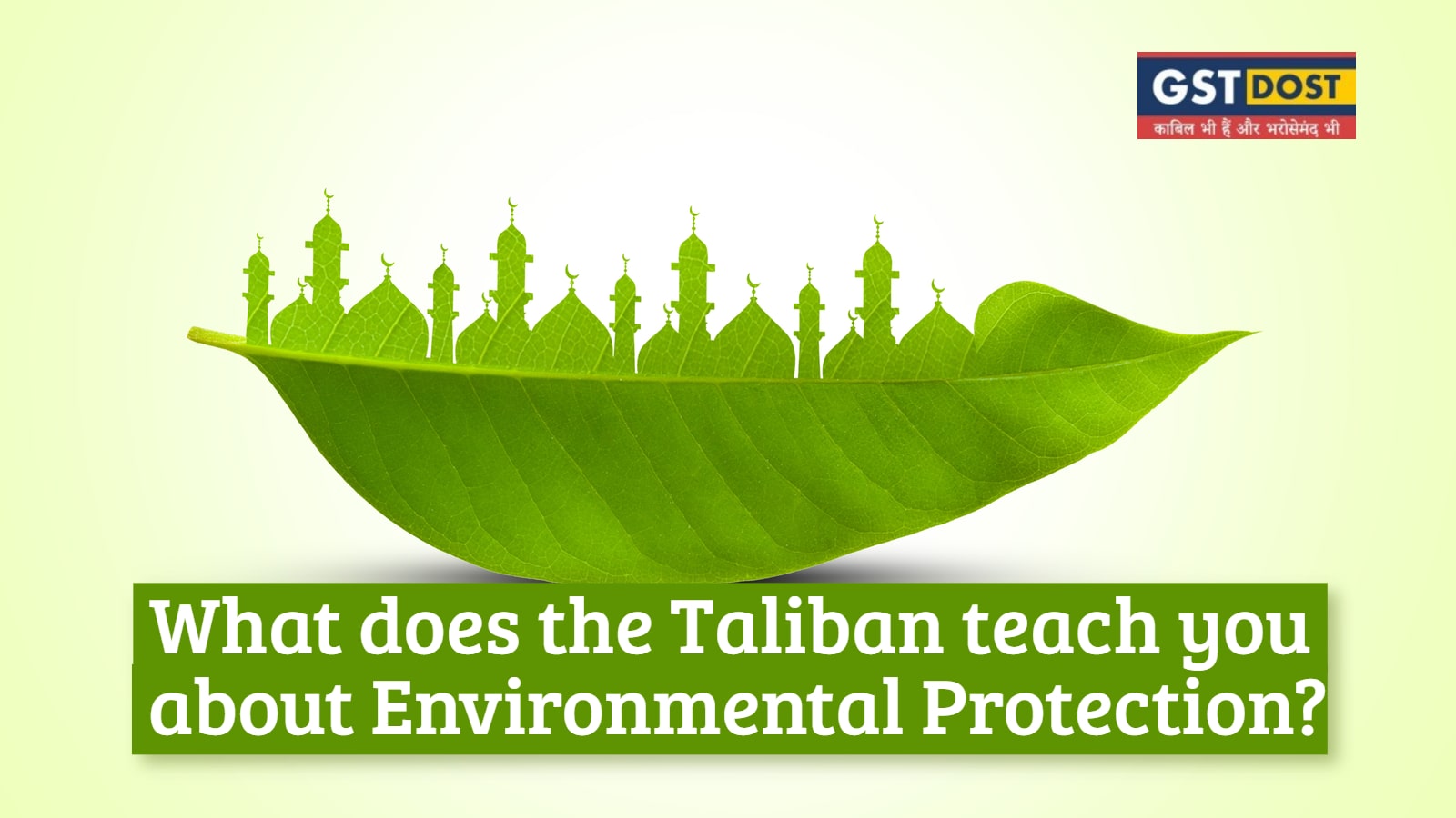 What does the Taliban teach you about Environmental Protection?